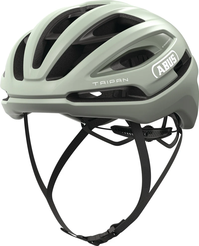 Abus Taipan Frosted Green