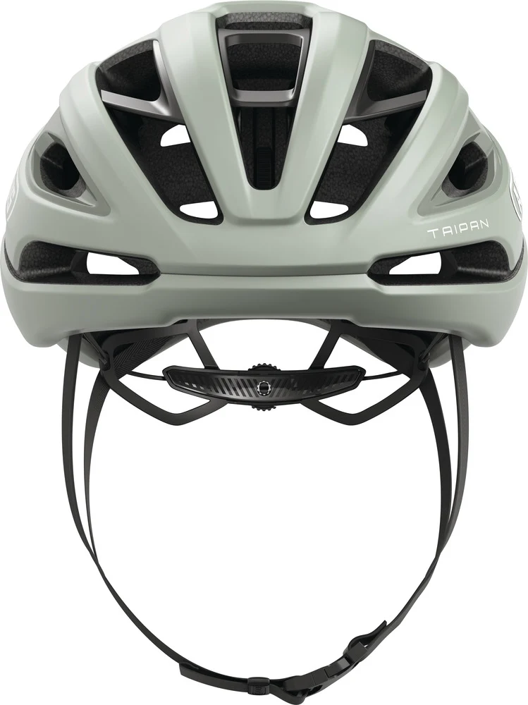 Abus Taipan Frosted Green
