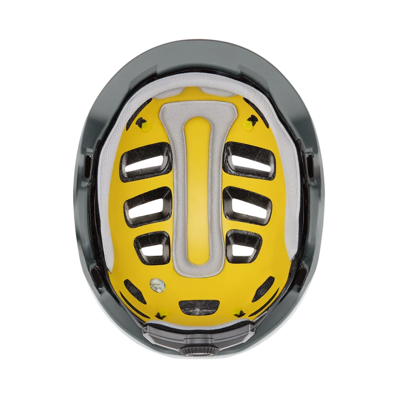 Express Mips® - Past Season