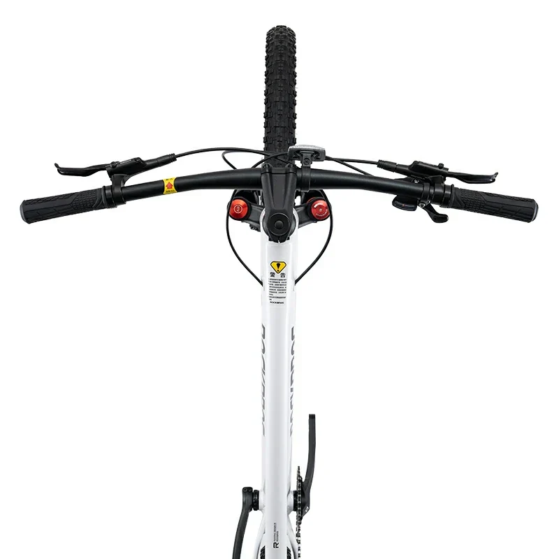 MT600 29 Zoll MTB