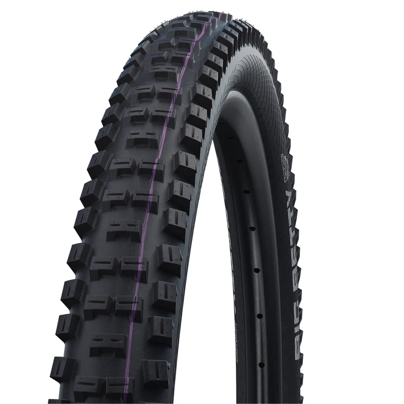 Schwalbe Big Betty