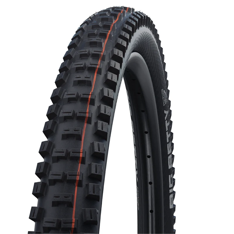 Schwalbe Big Betty
