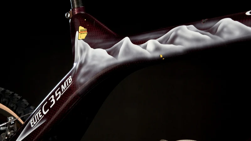 Elite C35 MTB