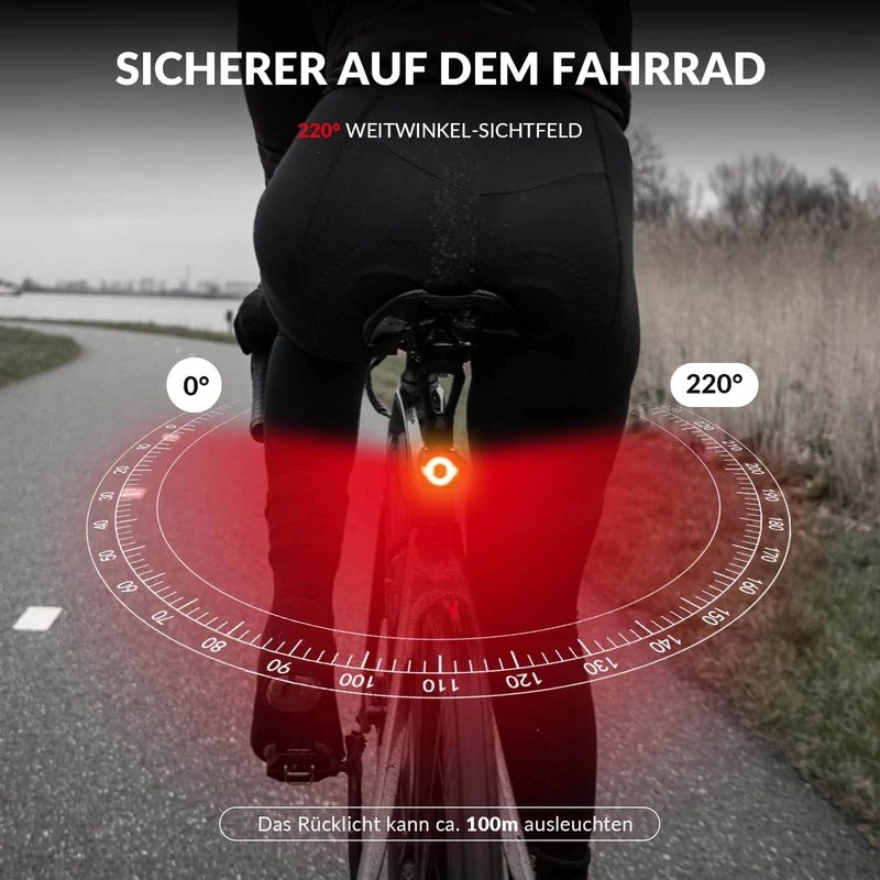 ROCKBROS Fahrradlicht IPX5 Wasserdicht Rücklicht Wiederaufladbar mit USB-C