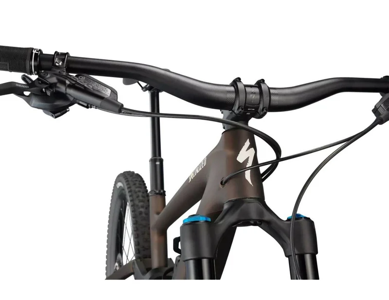 Specialized Enduro Expert Doppio/Sand