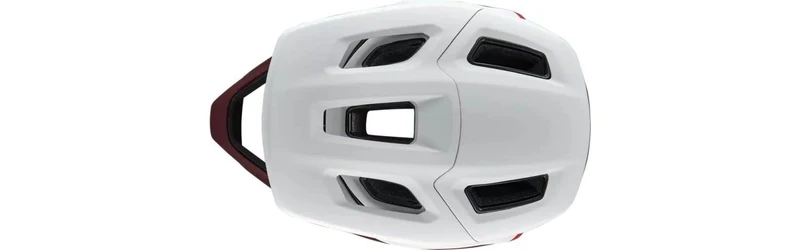 Specialized Gambit